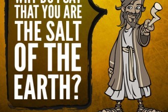 Why do I say that you are the salt of the earth?